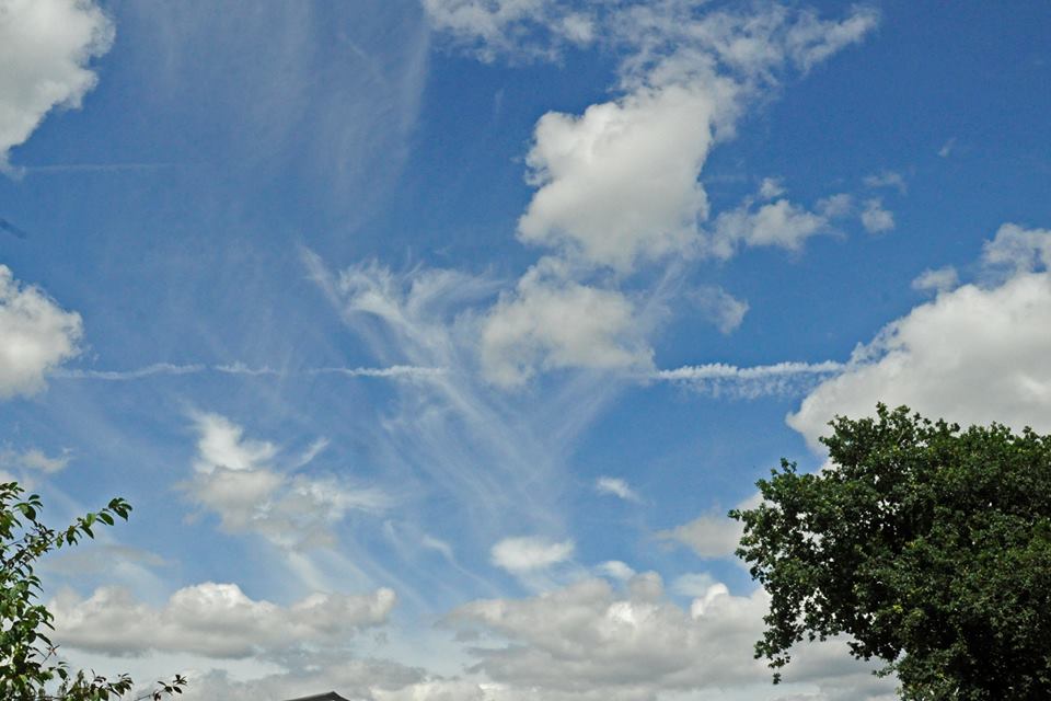 1DiamondAngel LOVE SUMMER TIME👄 custom pic 7