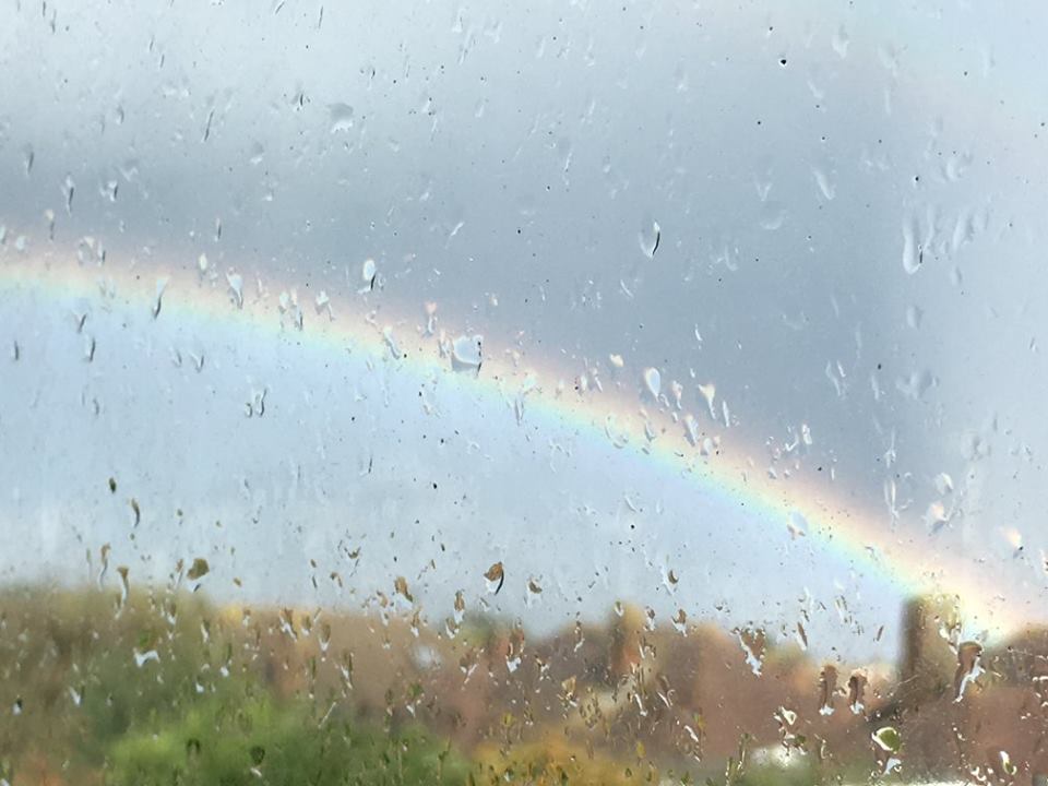 1DiamondAngel AUTUMN custom pic 1