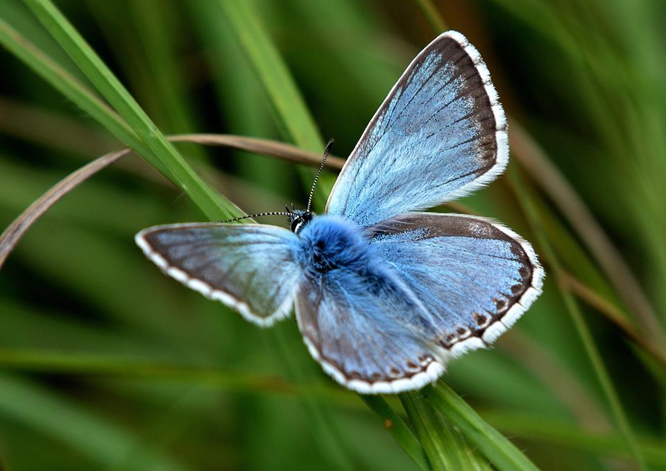 1DiamondAngel LOVE SUMMER TIME👄 custom pic 4