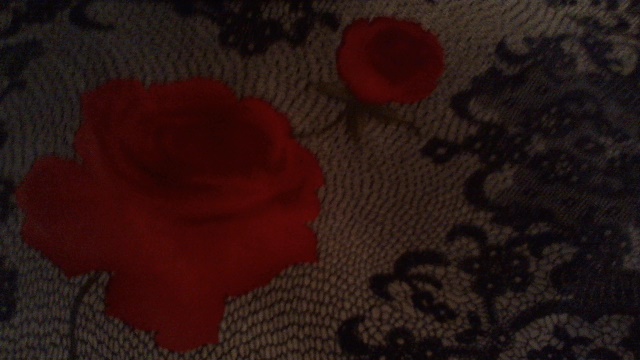 1DiamondAngel I am ready for Argentina Tango custom pic 4