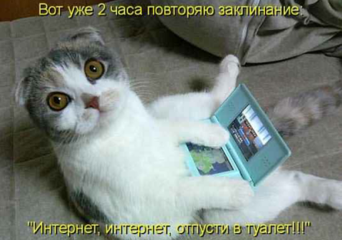 BigLips ... custom pic 1