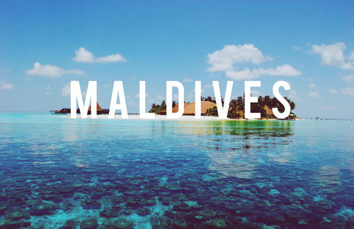 hotblondemilf Dream... custom pic 1