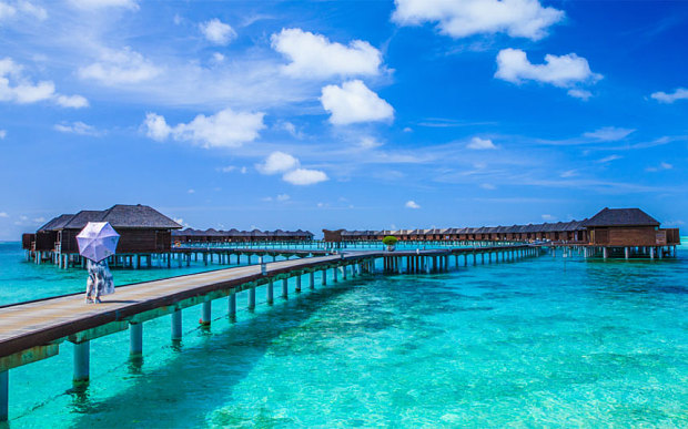 apamatska Dreaming to go to Maldives custom pic 1