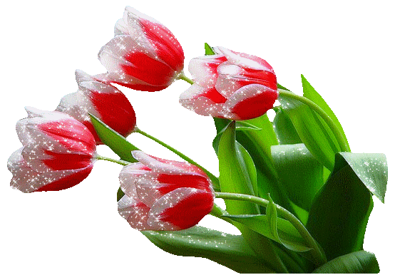 sensitiveLOLA I love tulips image: 1