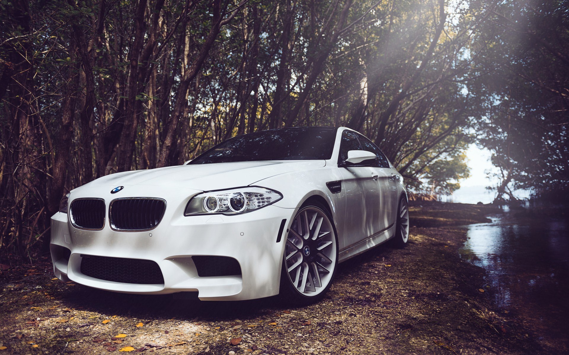 _girl_ My dream BMW image: 1