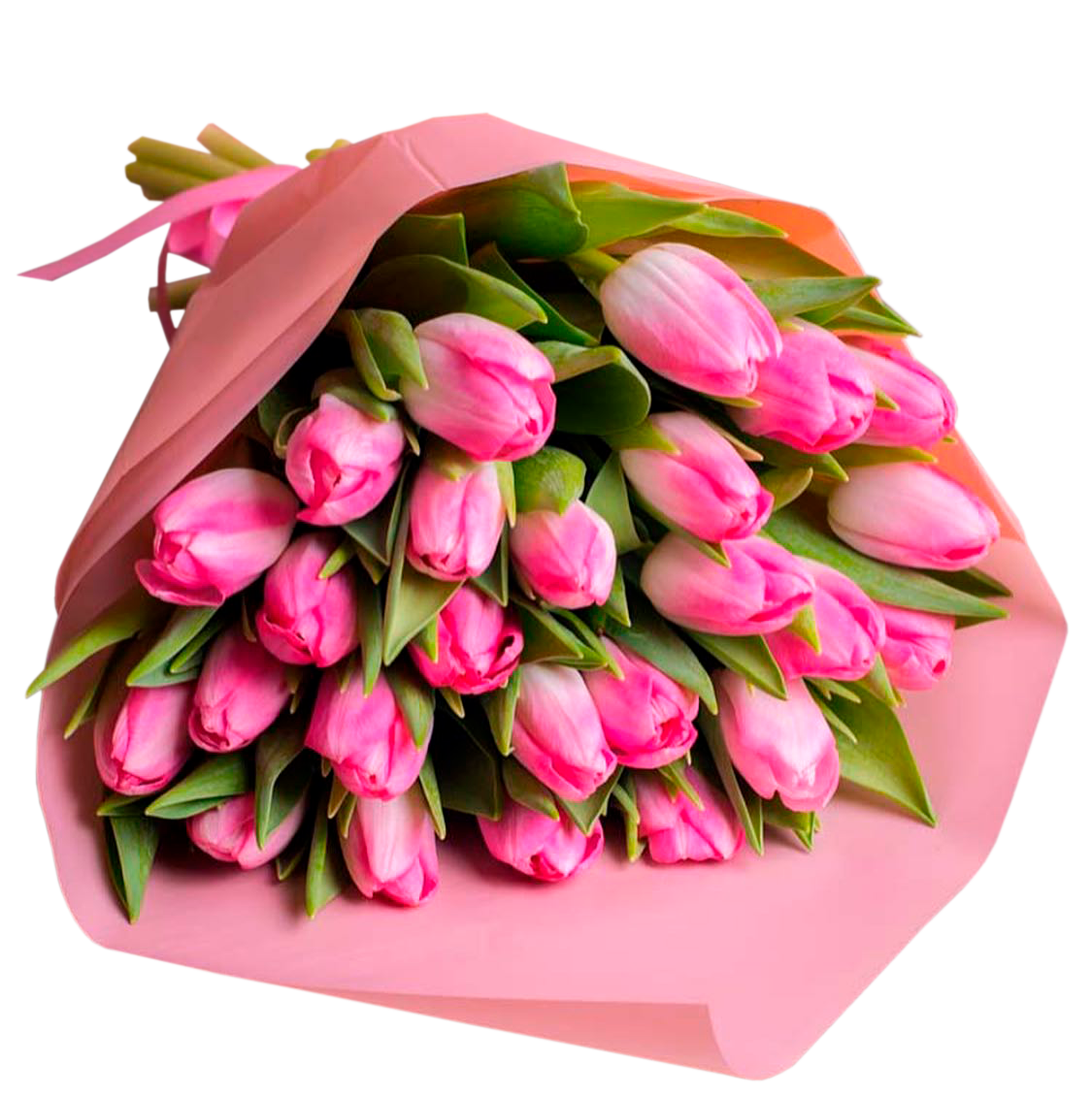 Sollnushko Love tulips image: 1