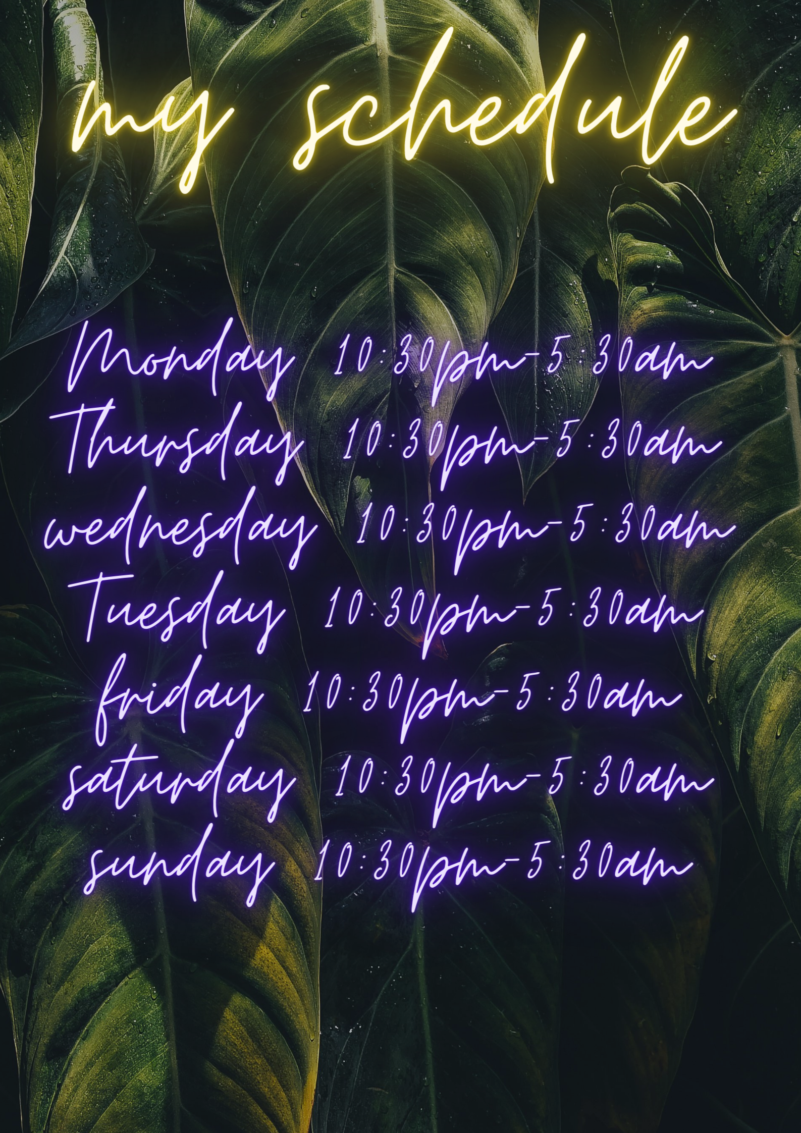 hannahill69 My schedule image: 1