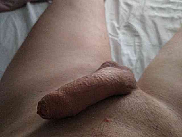 StahanovezCut