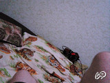 POKER_MEN's snapshot 14
