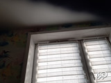 Ericahotsex's snapshot 2