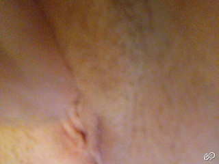 صورة Silly23 رقم 1