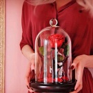 rose in glass.....роза в колбе