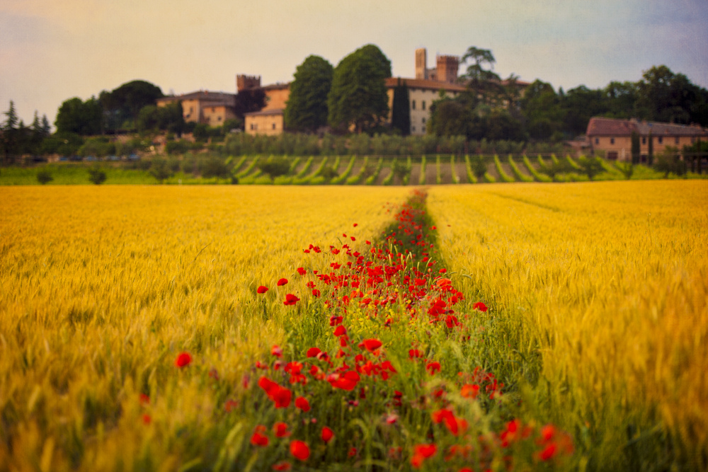 Bars_ Want to go to Tuscany custom pic 1