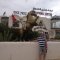 Artem21447