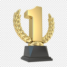 1 место в топ 100