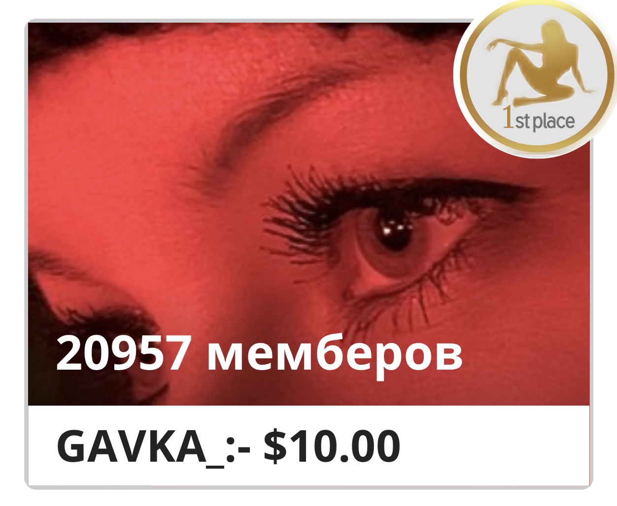 GAVKA_ GAVKA image: 1