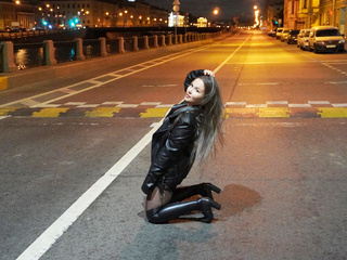 The Night Lioness