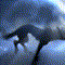 -CTAPblU-