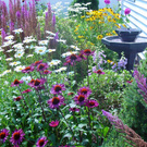 Beautiful gardens