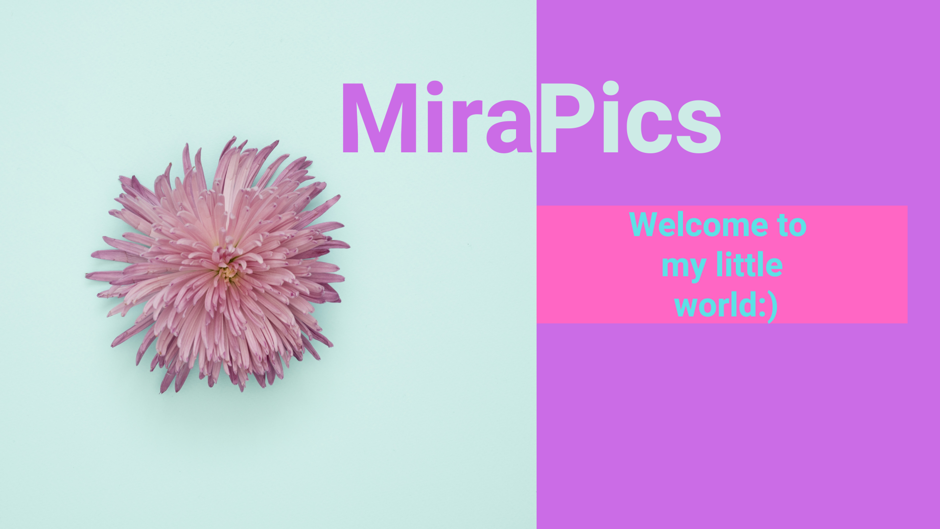 MiraPics 1 image: 1