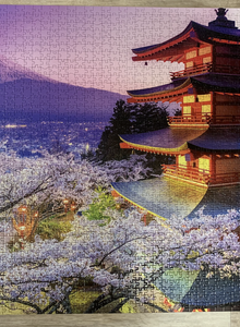 RocketGIRL Puzzles photo 9726685