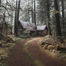 A cabin in the woods