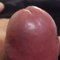 Bobbydick40