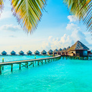 Travel
