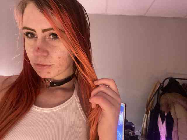 thatlittlefox