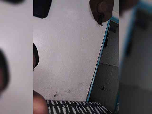 Akish3