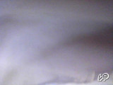 azzalya's snapshot 13