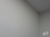 Bly-Aixa's snapshot 4