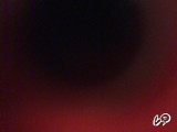 Freddy-35's snapshot 6