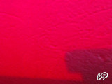 Brenda0 的快照 16